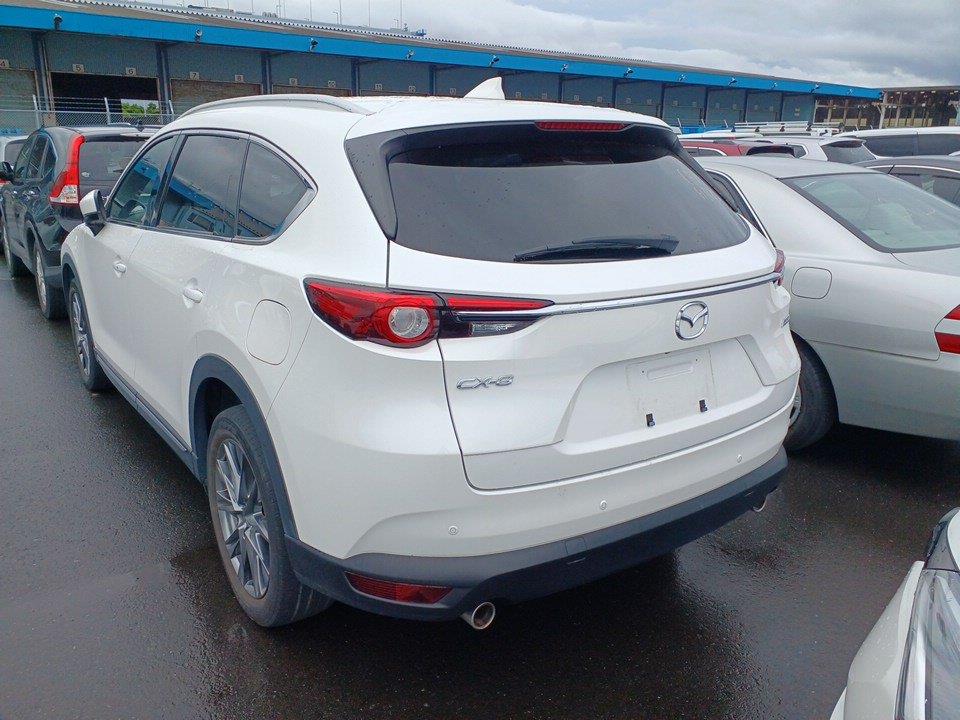 2019 Mazda CX-8